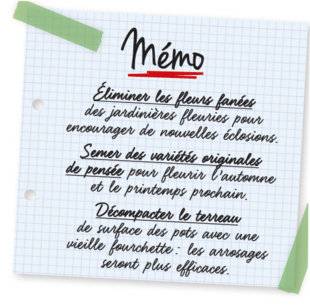 L'Ami des Jardins 1105 Mémo