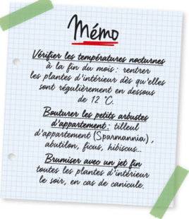 L'Ami des Jardins 1105 Mémo