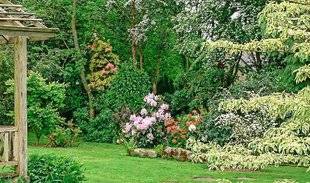 L'Ami des Jardins 1105 VOS PLUS BEAUX JARDINS