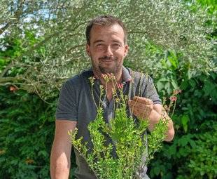 L'Ami des Jardins 1106 Alexandre Tramier cultivateur d'arômes