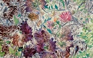 L'Ami des Jardins 1106 Fleurs et composts transfigurés