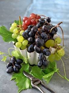 L'Ami des Jardins 1106 LES RAISINS DU JARDIN un régal !