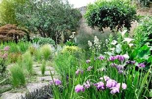 L'Ami des Jardins 1106 ENQUÊTE D'HARMONIE