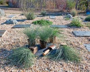L'Ami des Jardins 1106 Des fétuques dans le gravier