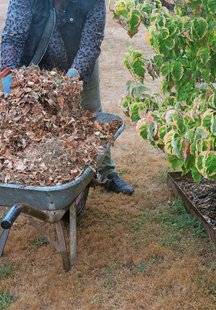 L'Ami des Jardins 1106 Une manne pour le jardin