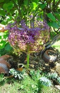L'Ami des Jardins 1106 L'AIL, AIL, AIL !