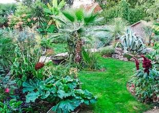 L'Ami des Jardins 1106 VOS PLUS BEAUX JARDINS