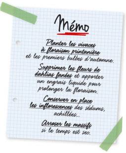L'Ami des Jardins 1106 Mémo
