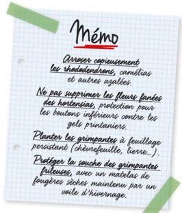 L'Ami des Jardins 1106 Mémo