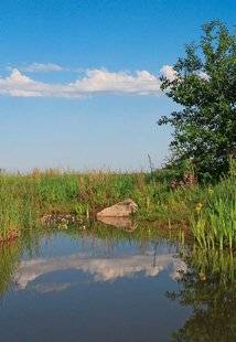 L'Ami des Jardins 1106 COMMENT MAINTENIR LES BERGES ?
