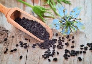 L'Ami des Jardins 1106 Des graines de nigelle parfumées