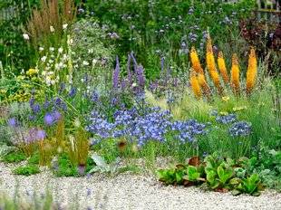 L'Ami des Jardins 1106 La pionnière des jardins secs