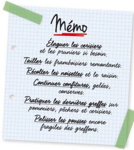 L'Ami des Jardins 1106 Mémo