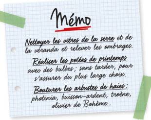 L'Ami des Jardins 1106 Mémo