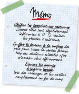 L'Ami des Jardins 1106 Mémo