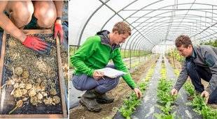 L'Ami des Jardins 1107 Des graines en héritage