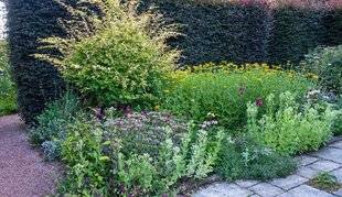 L'Ami des Jardins 1107 Les bonnes idées d'Armelle et Jacques