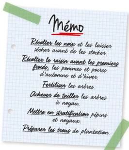 L'Ami des Jardins 1107 Mémo