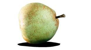 L'Ami des Jardins 1107 'OLIVIER DE SERRES', UNE POIRE DE GARDE SUCRÉE