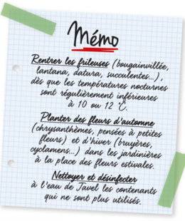 L'Ami des Jardins 1107 Mémo