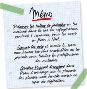 L'Ami des Jardins 1107 Mémo