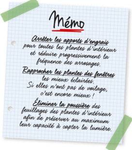 L'Ami des Jardins 1107 Mémo