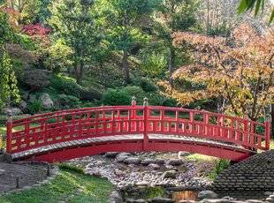 L'Ami des Jardins 1107 Le jardin japonais d'Albert Kahn