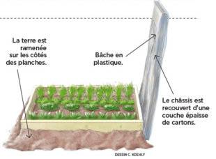 L'Ami des Jardins 1107 UN PETIT POTAGER D'HIVER