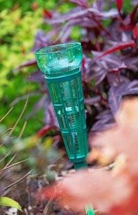 L'Ami des Jardins 1107 PROFITONS DES PLUIES D'OCTOBRE