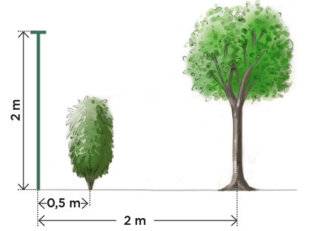 L'Ami des Jardins 1107 Haie et clôture : entre règle et bon sens