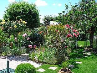 L'Ami des Jardins 1107 VOS PLUS BEAUX JARDINS