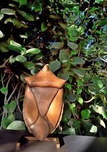 L'Ami des Jardins 1109 DES INSECTES BIENVENUS