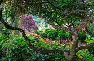 L'Ami des Jardins 1109 Au pays des elfes