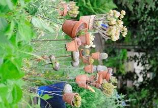 L'Ami des Jardins 1109 JE NE JETTE PLUS RIEN !