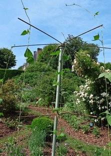 L'Ami des Jardins 1109 Je recycle