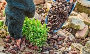 L'Ami des Jardins 1109 LES ATOUTS DU PAILLIS MINÉRAL