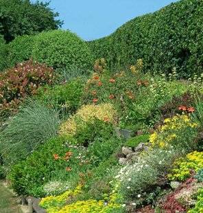 L'Ami des Jardins 1109 Une haie derrière la rocaille
