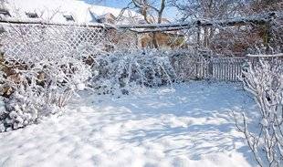 L'Ami des Jardins 1109 FAUT-IL RETIRER LA NEIGE SUR LA PELOUSE ?