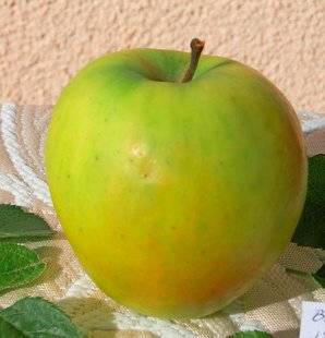 L'Ami des Jardins 1109 QUELS POMMIERS CHOISIR ?