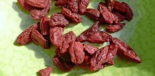 L'Ami des Jardins 1109 UN GOJI SAUVAGEON À ADOPTER