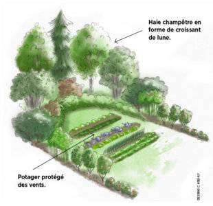 L'Ami des Jardins 1109 Un croissant de lune dans le potager