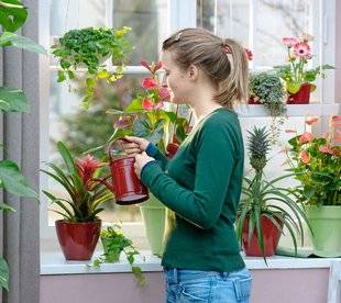 L'Ami des Jardins 1109 PEUT-ON ARROSER AVEC L'EAU DU ROBINET ?