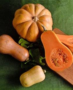 L'Ami des Jardins 1109 Courges musquées, les délices de l'automne