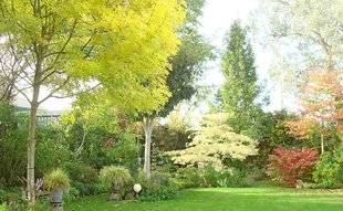 L'Ami des Jardins 1109 VOS PLUS BEAUX JARDINS