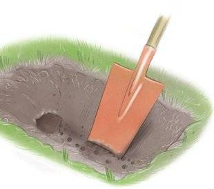 L'Ami des Jardins 1110 Au secours ! J'ai des taupes…