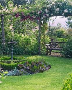 L'Ami des Jardins 1110 JE REPENSE MON JARDIN MAINTENANT !