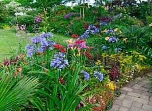 L'Ami des Jardins 1110 Hissez les couleurs !