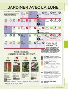 L'Ami des Jardins 1110 C'EST MAINTENANT DANS NOS RÉGIONS