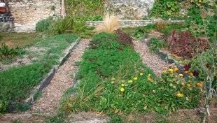 L'Ami des Jardins 1110 Préparer des planches de culture