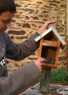 L'Ami des Jardins 1110 NETTOYER LES NICHOIRS DES OISEAUX